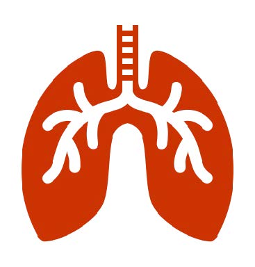lungs-follow up